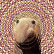 psychedelicseal