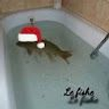 bathtub Fishy